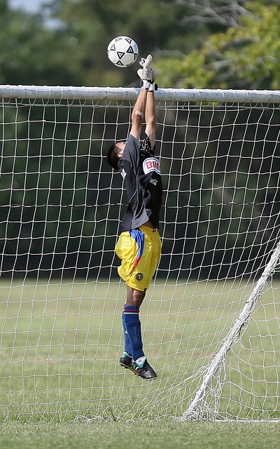 不仅为球迷 不仅为球迷