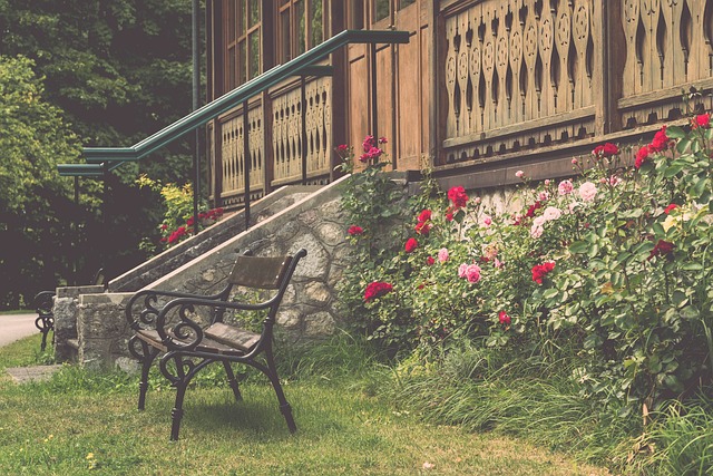 不可逆转的 不可逆转的