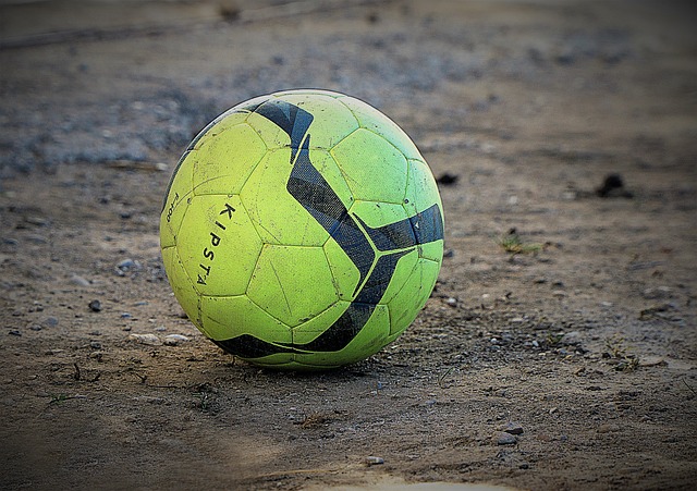 體和分析機 體和分析機