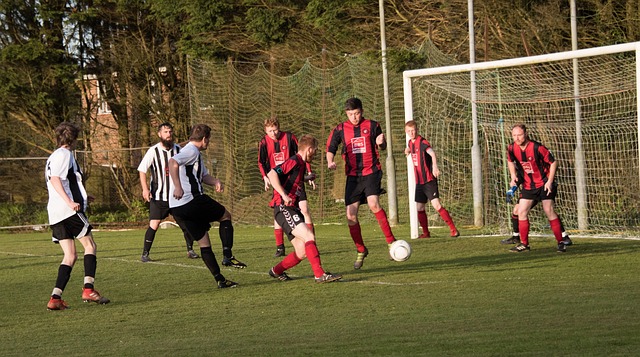 我们的团队 我们的团队