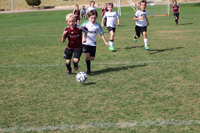 解为什么斯 解为什么斯