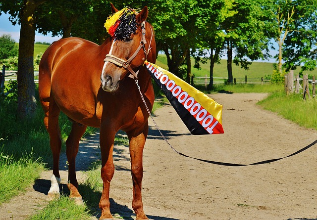 仅丰富了乡 仅丰富了乡