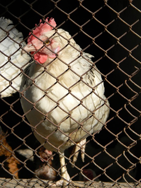 和基层的普 和基层的普