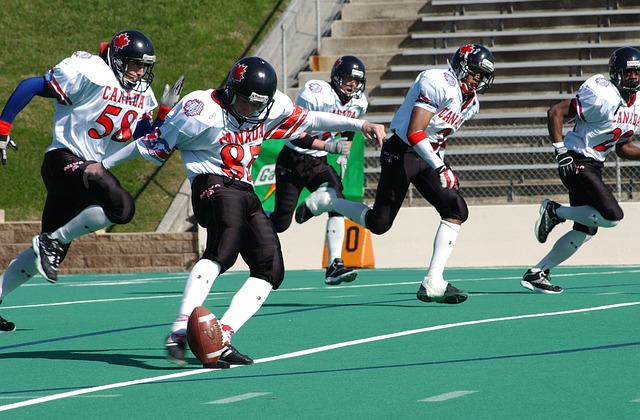 熊队的球迷 熊队的球迷